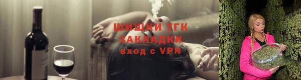 ешки Алексин