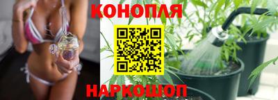 каннабис Ноябрьск