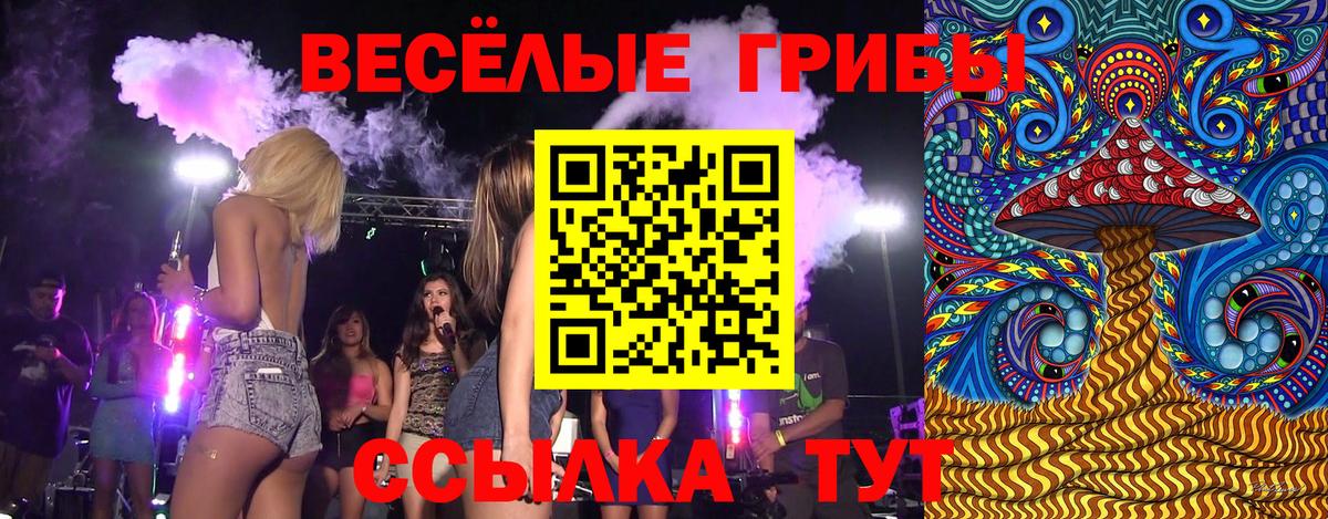 Галлюциногенные грибы прущие грибы  Вход с VPN  Апшеронск  Псилоцибиновые грибы MAGIC MUSHROOMS 